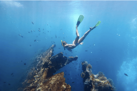 Coron: tour delle barriere coralline e dei relitti con attrezzatura per lo snorkelingTour privato