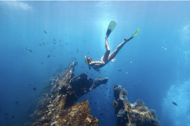 Coron: tour delle barriere coralline e dei relitti con attrezzatura per lo snorkelingTour privato