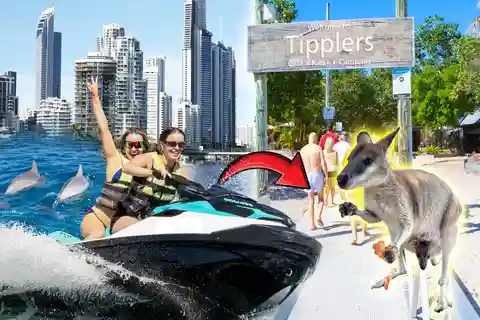 Surfers Paradise: 2 Hour Tropical Island Jet Ski Tour