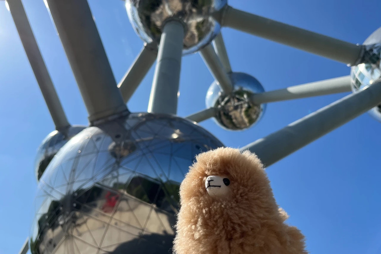 Brussels Night Tour by Car