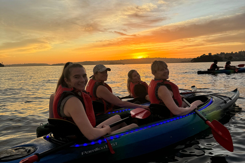 Sydney: Harbour Sunset Kayak Tour Sunset Single Kayak Tour