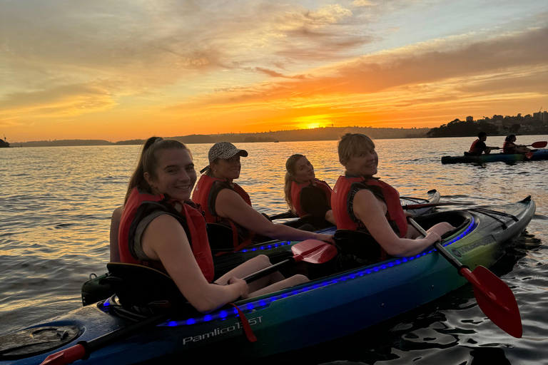 Sydney: Harbour Sunset Kayak Tour Sunset Single Kayak Tour