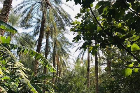 From Djerba: Douz, Matmata Star Wars Sites & local market