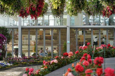 Gyeonggi Begonia Bird Park Ticket