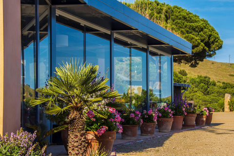 Barcelona: Sailing and Winery Tour with Wine Tasting Winery Tour & Wine Tasting from Barcelona (NO SAILIG)