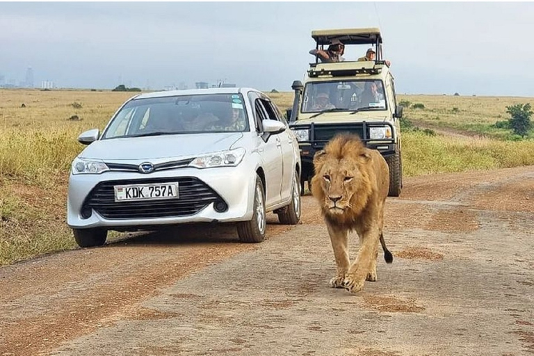 Tour del Parco Nazionale di Nairobi.