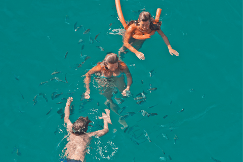 Paraty Bay: Islands & Beaches Boat Tour with Snorkeling
