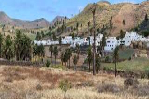 Lanzarote Premium Excursion Lanzarote Premium Excursion 8h