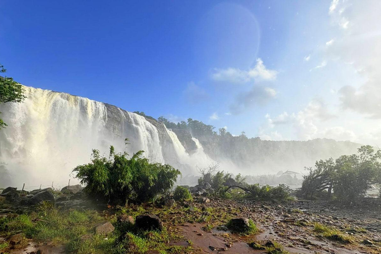 Athirappilly Waterfalls from Cochin – One Day Tour