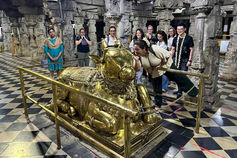 Bangalore im Wandel der Zeit - Ganztagestour mit Mittagessen