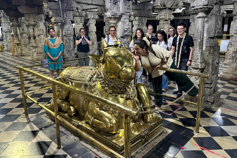 Bangalore attraverso i secoli - Tour di un giorno intero con pranzo