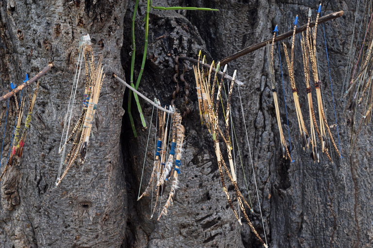 Au départ d'Arusha : circuit du lac Eyasi, des villages Datoga et HadzabeAu départ d'Arusha : visite du lac Eyasi, des villages Datoga et Hadzabe