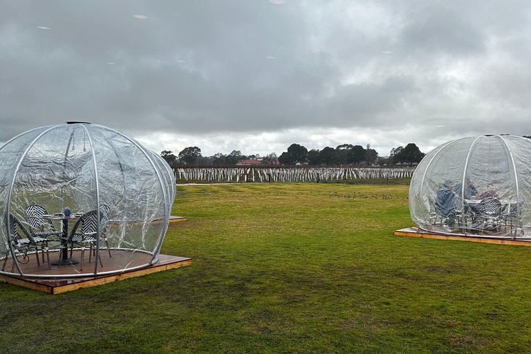 Passeios de cruzeiro guiado em AdelaidePasseios de cruzeiro guiado em Adelaide (Barossa Valley e Hahndorf)