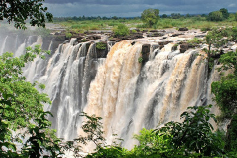 Victoria Falls: 7-Day Chobe & Hwange Safari Tour