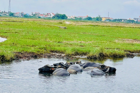 Hoi An: Countryside Bicycle Tour with Farm, Basket Boat Ride