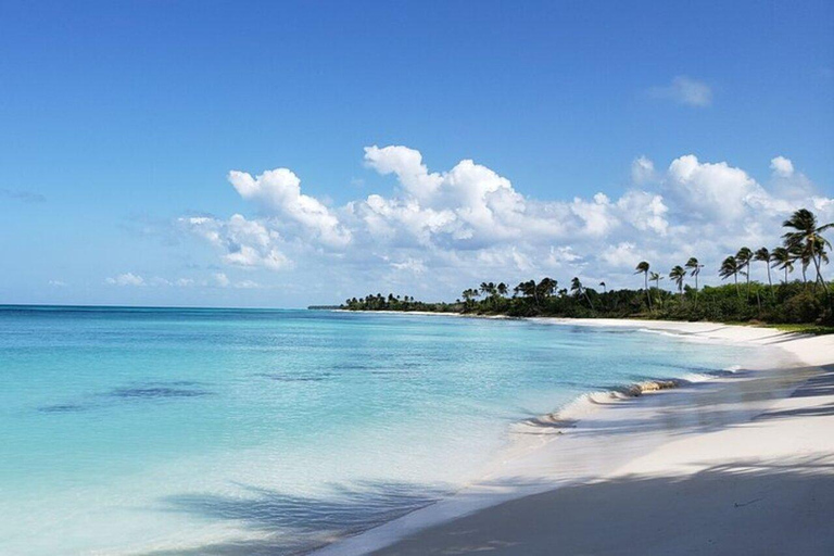 Bayahibe: Saona Island Small-Group Boat Tour with Lunch