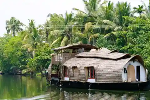 Backwater of Kerala Alleppey Houseboat Cruise Overnight Tour