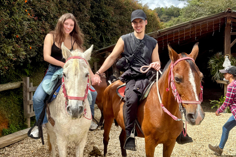 2-hour horseback riding + Private transportation + Photos & videos + Gift for the first 5 to book 2-hour horseback ride + private transportation + photos & videos + gift for the first 5 to book.