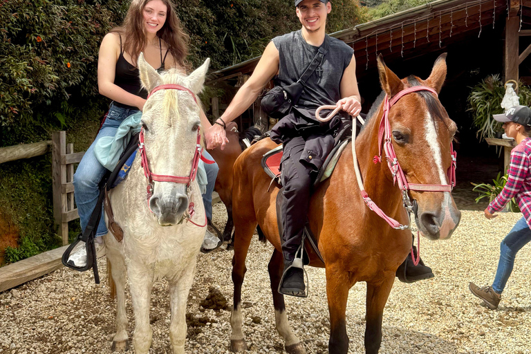 2-hour horseback riding + Private transportation + Photos & videos + Gift for the first 5 to book 2-hour horseback ride + private transportation + photos & videos + gift for the first 5 to book.