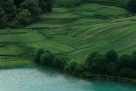 جولة شاي هانغتشو: القرى والبحيرات وتجربة الشاي المخفوقدليل للغة الإنجليزية والصينية