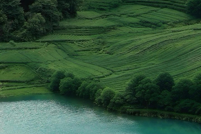 جولة شاي هانغتشو: القرى والبحيرات وتجربة الشاي المخفوقدليل للغة الإنجليزية والصينية