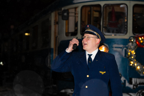 Rovaniemi Insider: Night train in Winter Forest