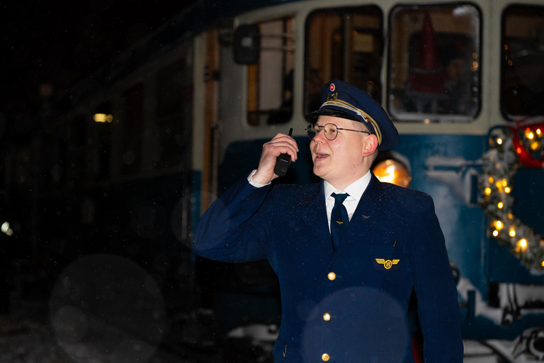 Rovaniemi Insider: Night train in Winter Forest