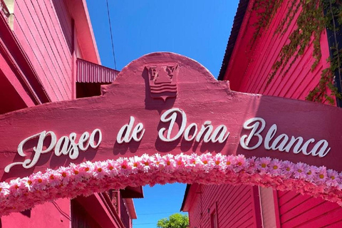 Puerto Plata: Monkey Jungle & City Tour Experience
