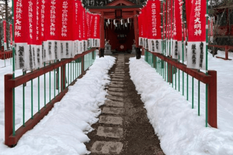 From Tokyo: Nikko Private Tour In Luxury Prado Lowest Price