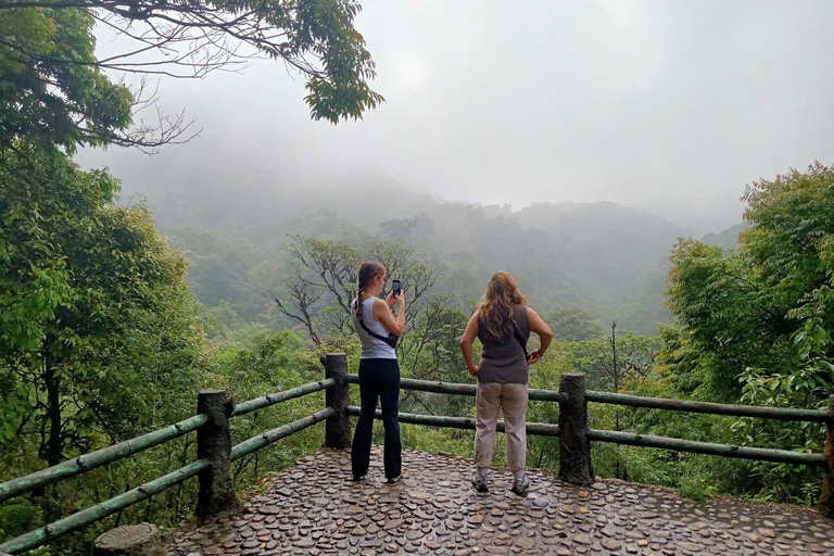 Chauffeured Ride to Silver and Love Waterfall, Lonely Tree