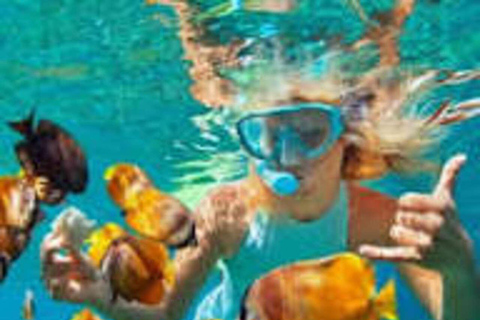 Zanzibar: Full-Day Safari Blue & Blue Lagoon with Snorkeling Shared Safari Blue & Blue Lagoon Tour