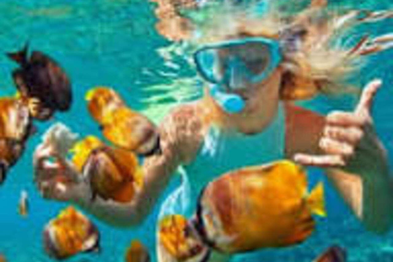 Zanzibar: Full-Day Safari Blue & Blue Lagoon with Snorkeling Shared Safari Blue & Blue Lagoon Tour