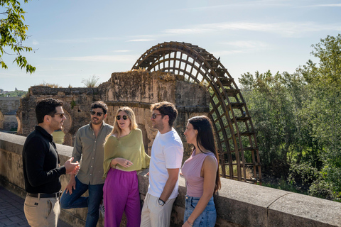 From Sevilla 3 Cities One Day: Itálica, Córdoba and Ronda Small Group Tour - English Guide