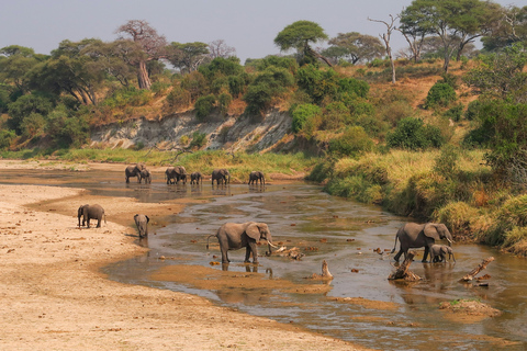 Livingstone: Mosi-oa-Tunya Park, Falls & Sunset Cruise