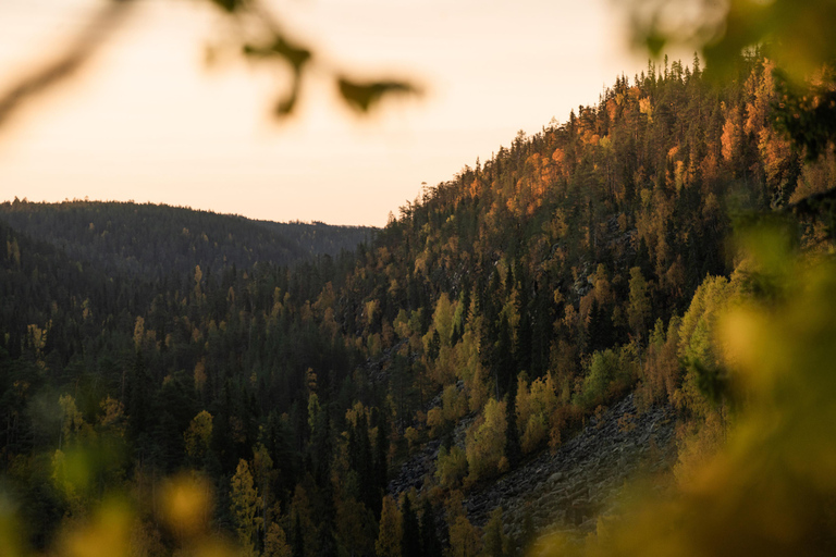 Sommerwanderung im Korouoma-Nationalpark