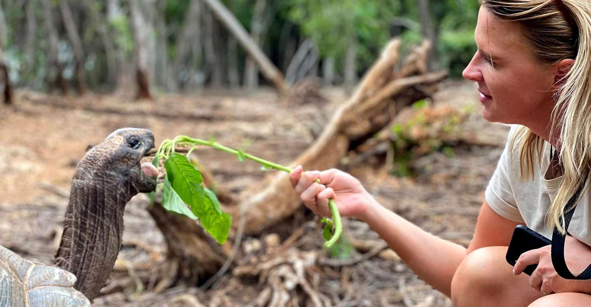 7 jours Kilimanjaro trekking via la route Lemosho - Hizvo