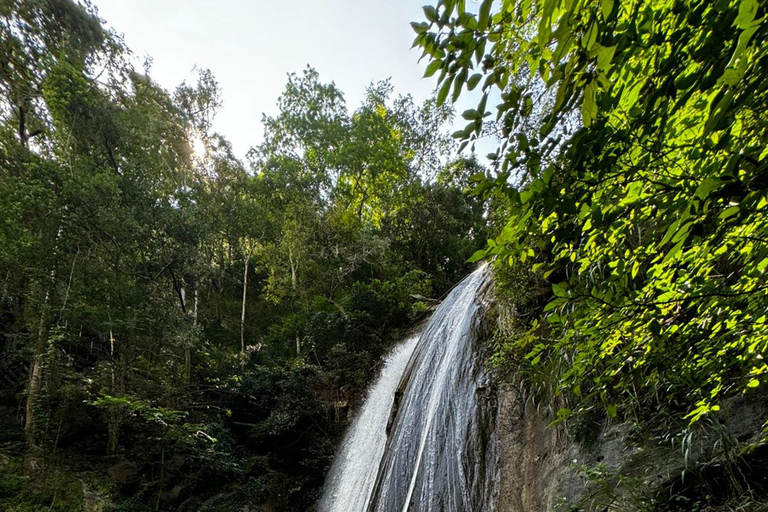 From Ella Waterfalls Abseiling Adventure – Thrill & Nature