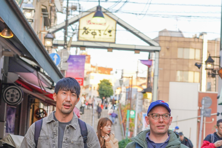 Quartiere di Yanaka: Tour storico a piedi nel centro storico di TokyoDistretto di Yanaka: tour storico a piedi nel centro storico di Tokyo