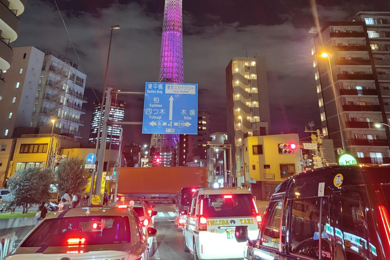 Tour privado de un día por los lugares famosos de TokioVisita Privada de un Día a los Lugares Famosos de Tokio