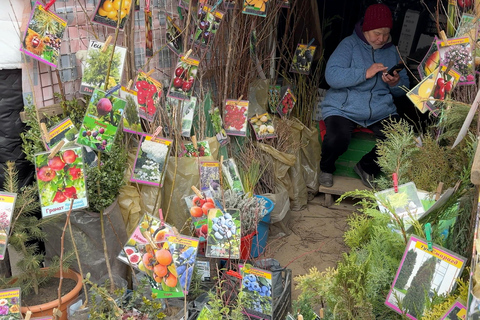 Chisinau: Piata Centrala Food Tour with Tastings