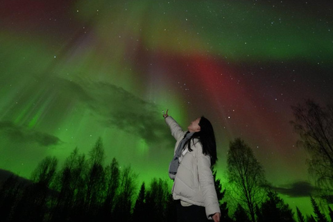 ⭐ Rovaniemi: Northern Lights Chase | Guarantee & Photos