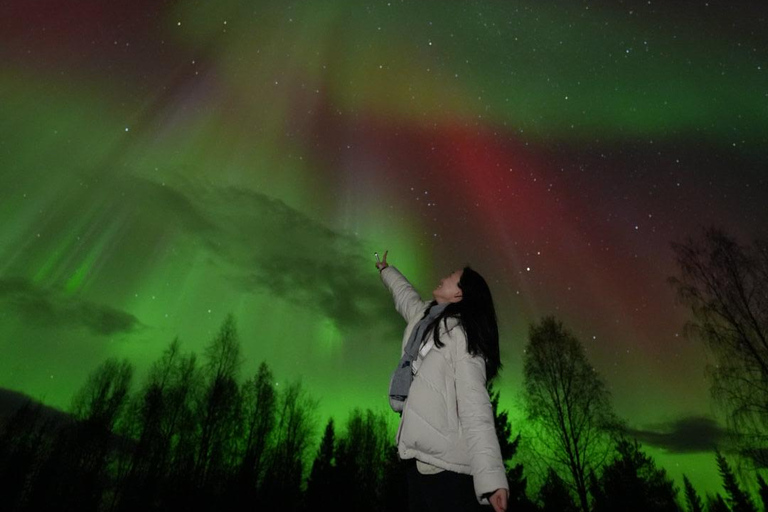 ⭐ Rovaniemi: Northern Lights Chase | Guarantee & Photos