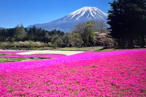 From Tokyo/Yokohama: Mount Fuji Private Tour with Pickup
