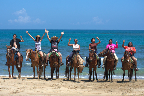 Puerto Plata: Beach Horseback Ride with Swim and Drinks Puerto Plata: Beach Horseback Ride with Swim and Drinks