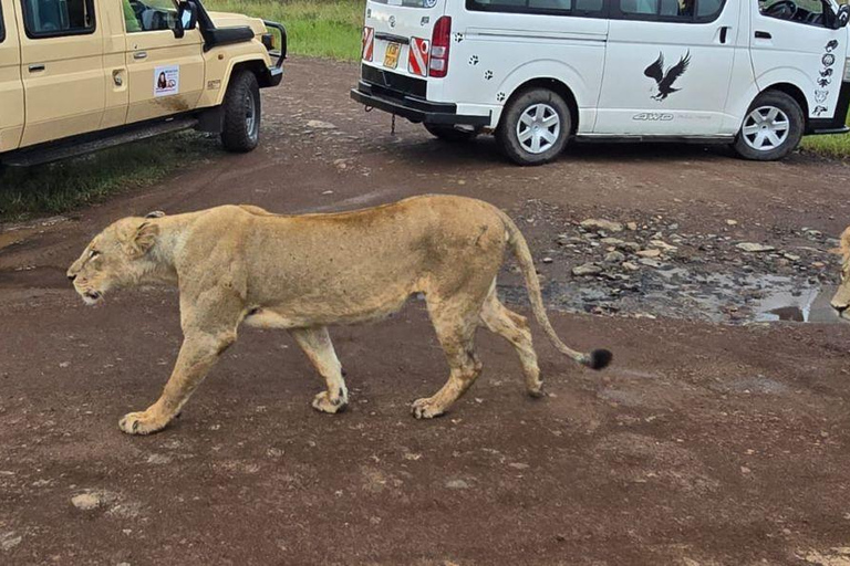Nairobi National Park Evening Game Drive & sundowner Nairobi National Park Evening Game Drive & sundowner - VAN