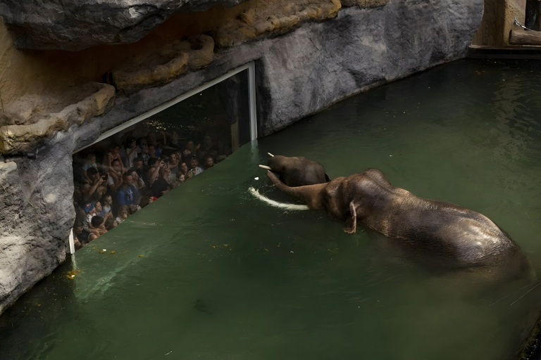 Łódź: City Highlights Private Tour & Orientarium Zoo Visit