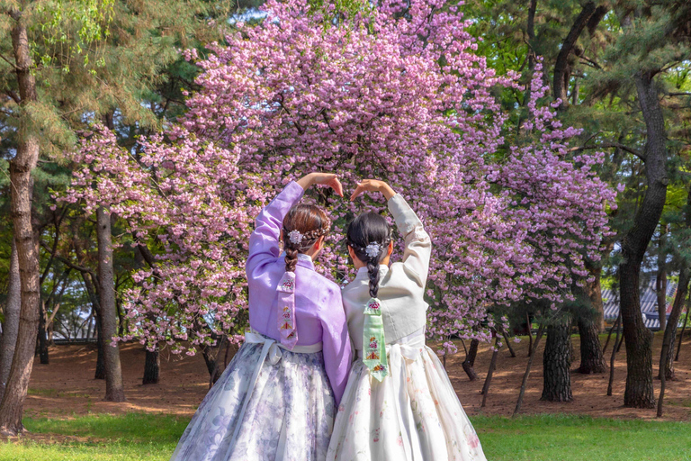 Busan : Sky Capsule ou visite printanière des cerisiers en fleurs de GyeongjuVisite printanière de Busan en Sky Capsule, rendez-vous à la station Seomyeon