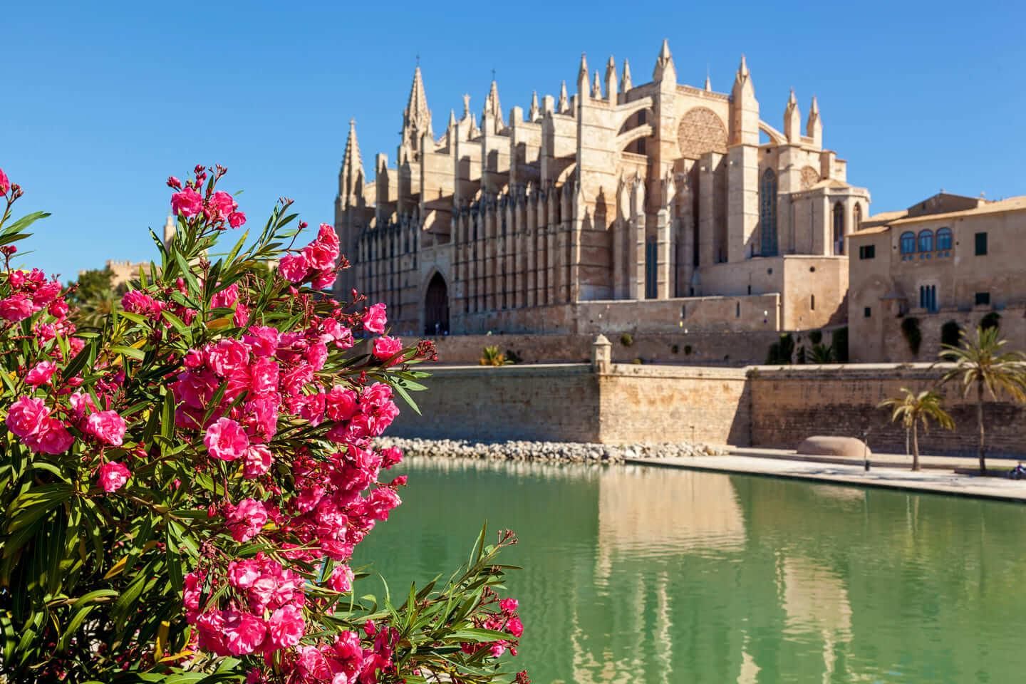Hallo Palma: Privater, 2-stündiger Einführungs-Stadtrundgang mit ortskundigem Guide
