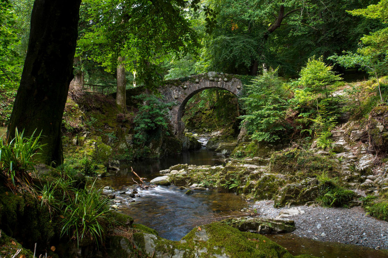 Patricks Trail, Game of Thrones, Titanic Irish Whiskey