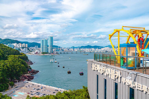 Busan: Highlights Tour with Zipline & Cable Car with Lunch